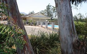 Isis Motel Scone